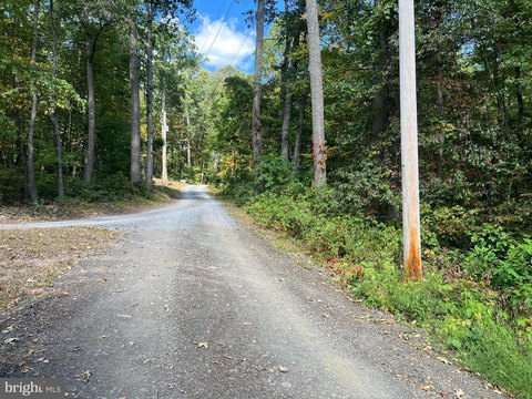 Acre Lot Near State Forest