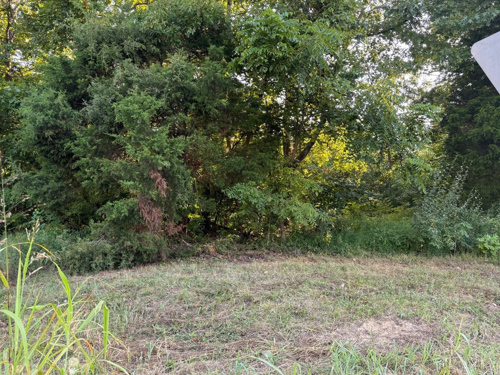 Picture 7