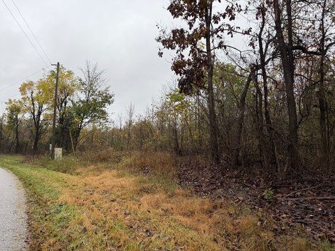 Wooded Hunting Land Parcel