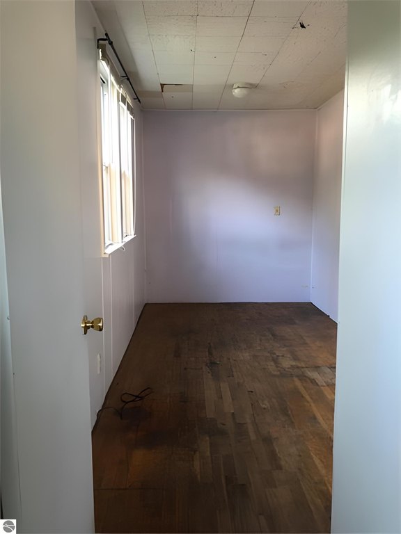 Picture 17