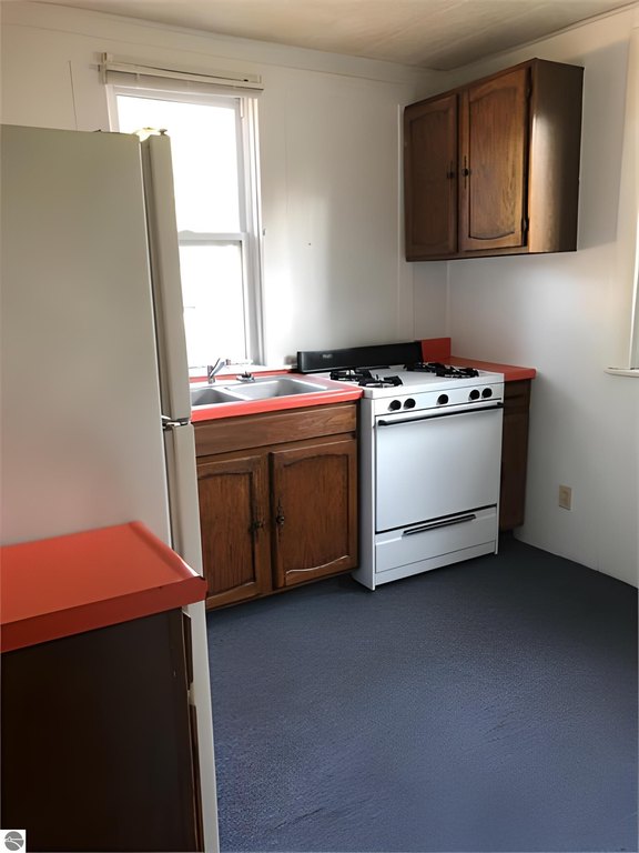 Picture 16