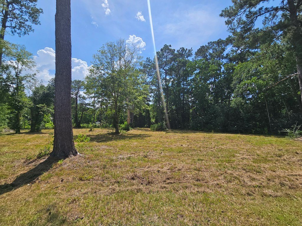 Picture 2