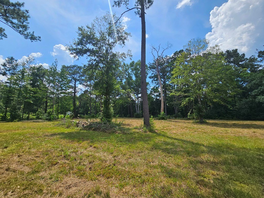 Picture 6