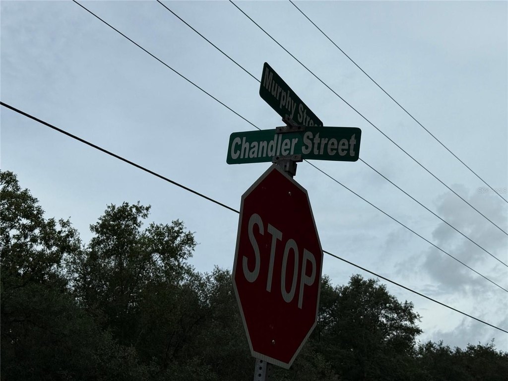 Picture 20