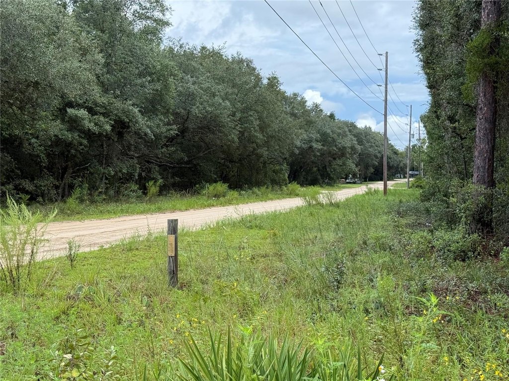 Picture 13