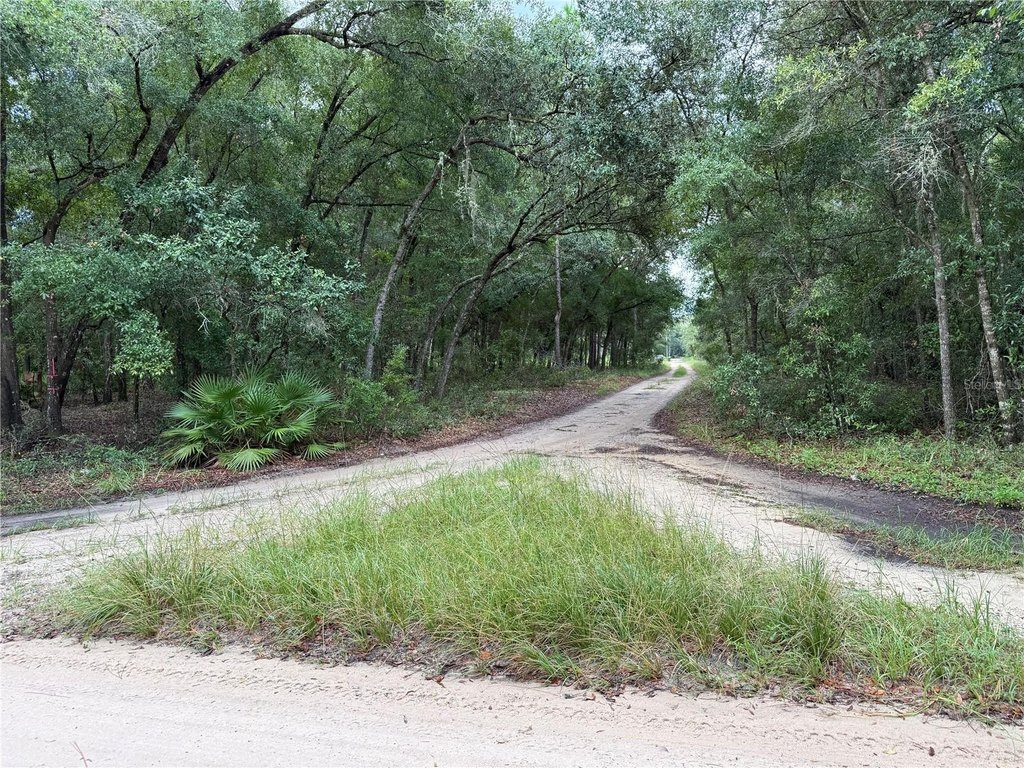 Picture 19