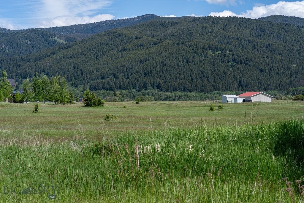 Picture 24