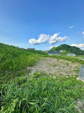 Land, Chavies, KY