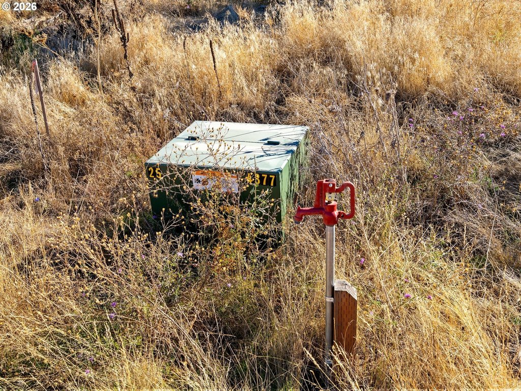 Picture 20