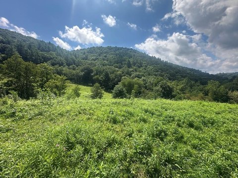 Agricultural Land with Mountain Views