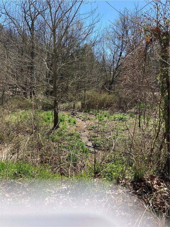 Picture 16