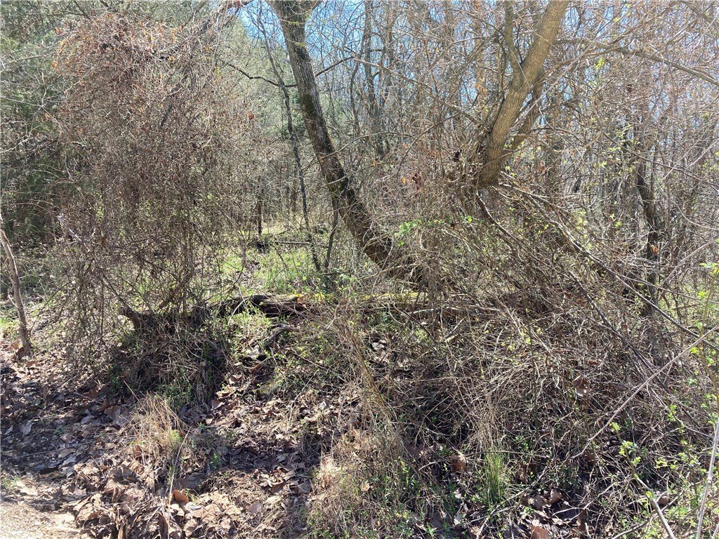 Picture 13