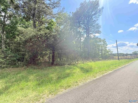 LAND - Union Grove, AL