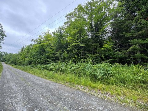 Parkman, ME