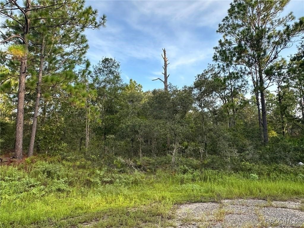 Picture 4