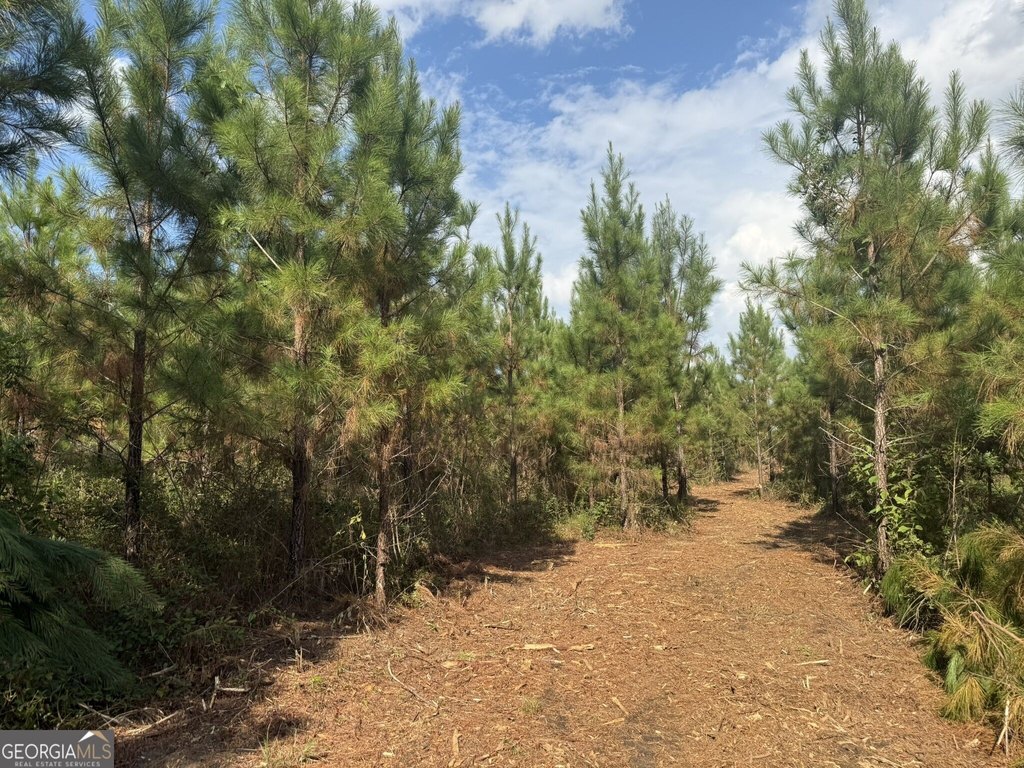 Picture 6