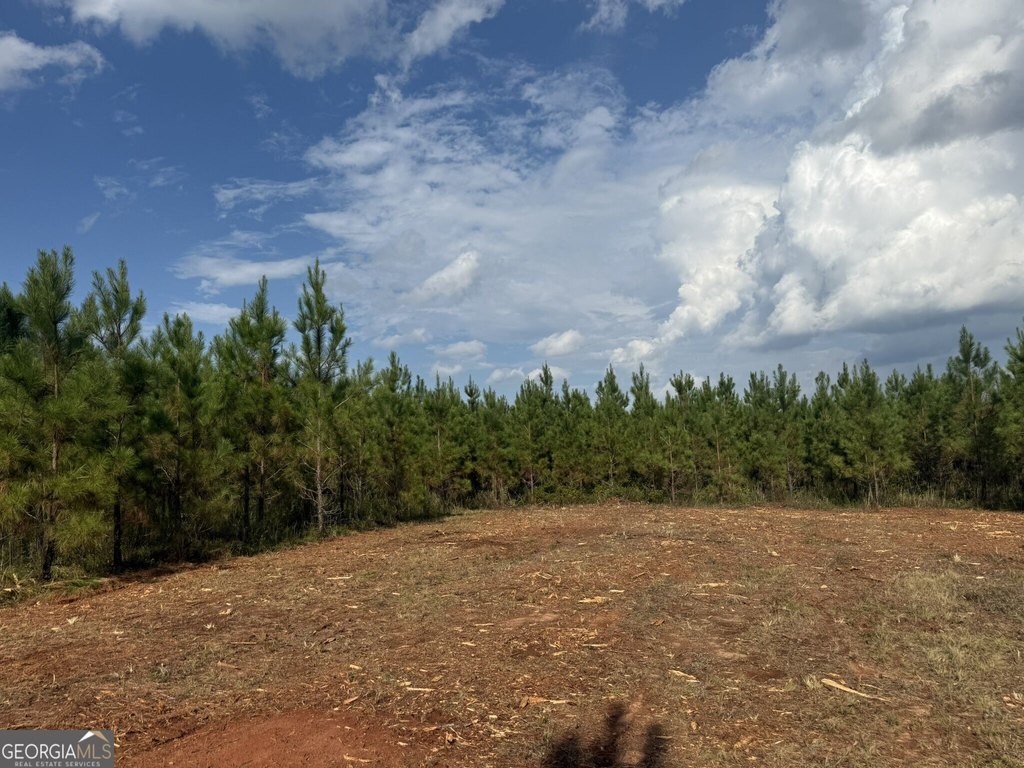 Picture 13