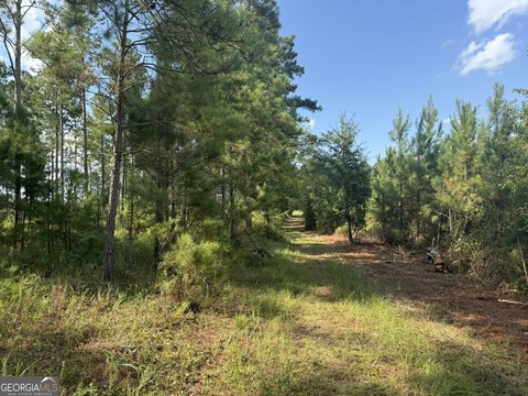 Land, Cuthbert, GA