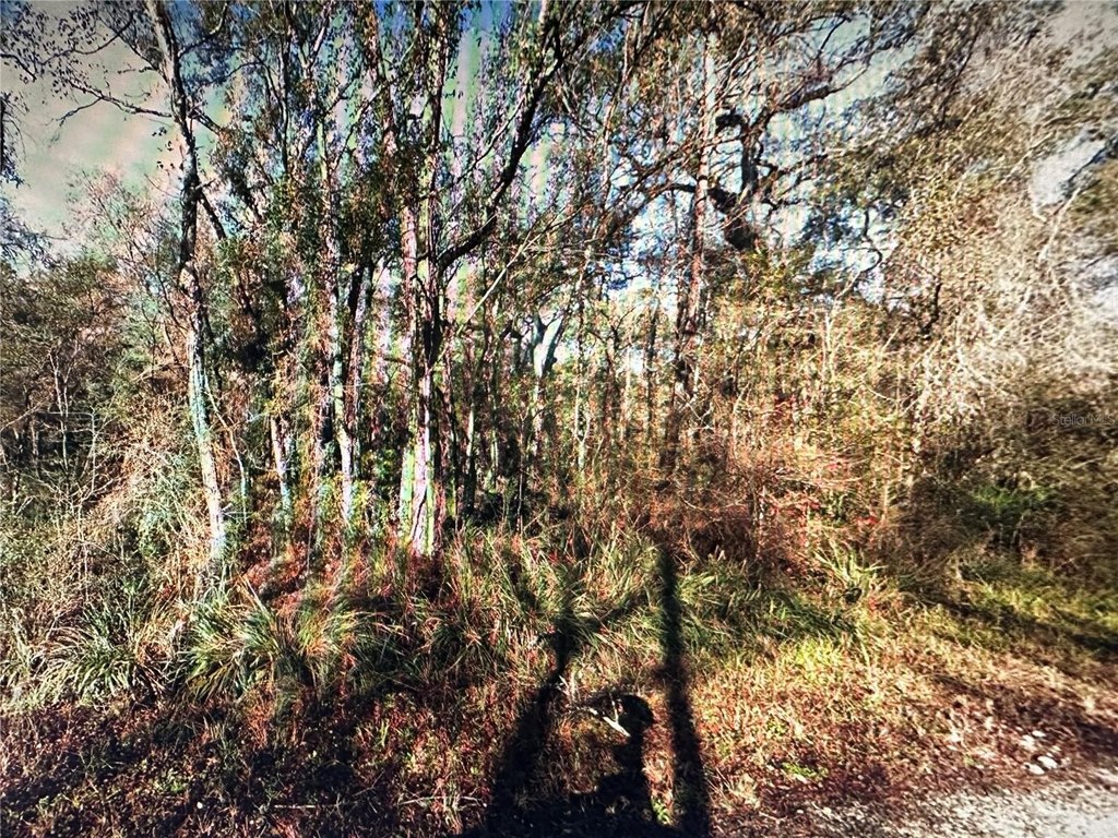 Picture 2