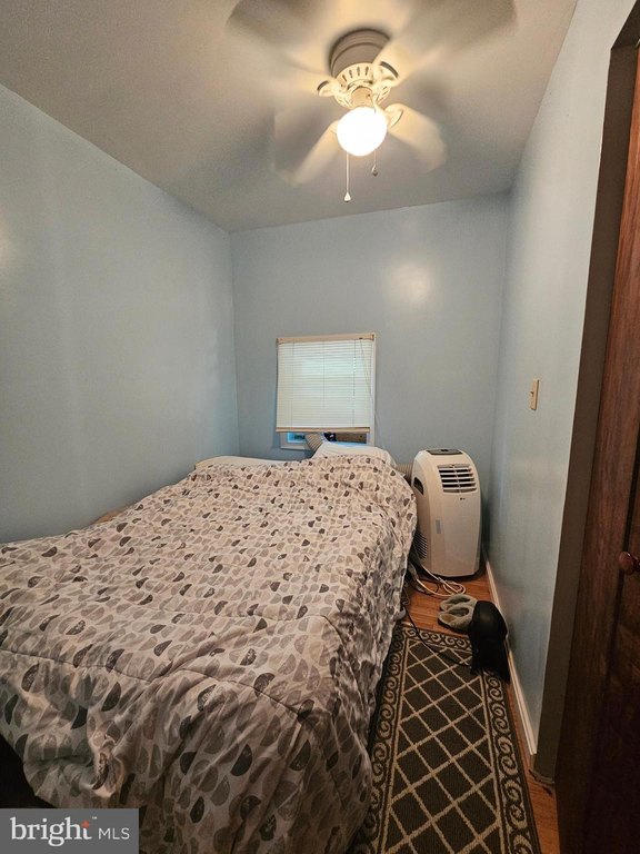 Picture 21