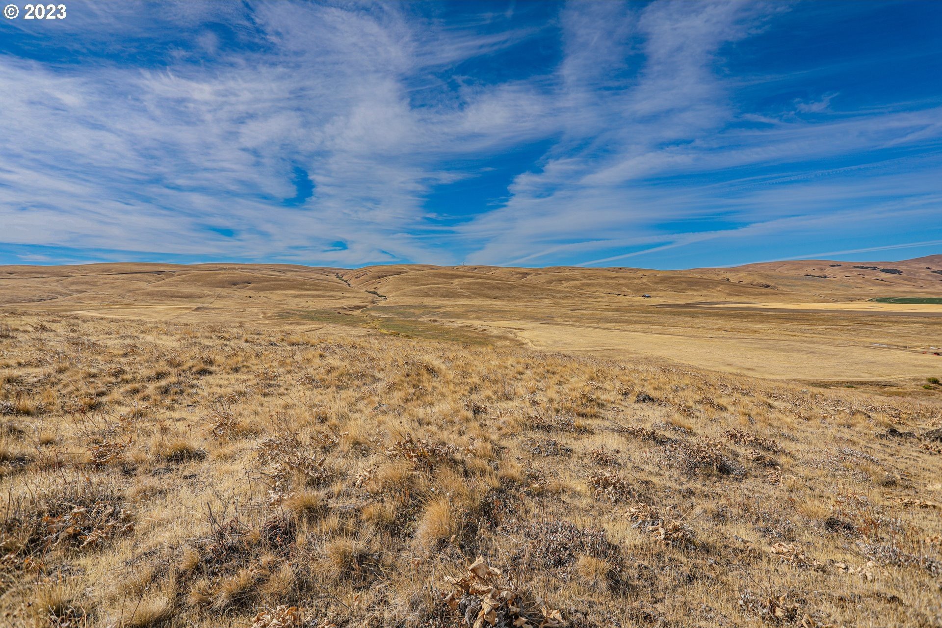 Sprawling Grassland with Mountain Views