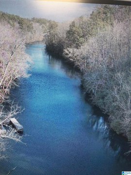 LAND - CLANTON, AL