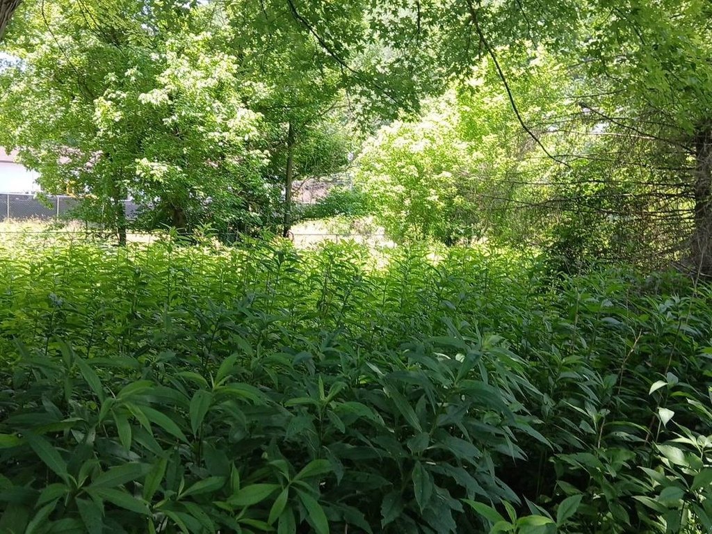 Picture 8
