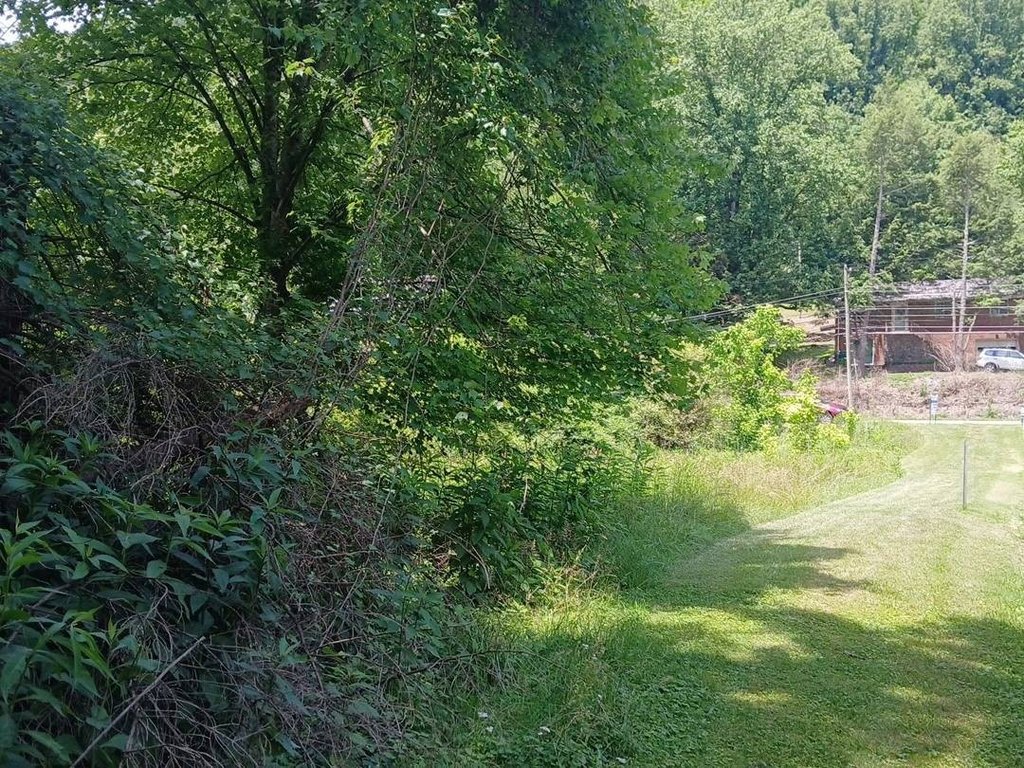 Picture 7