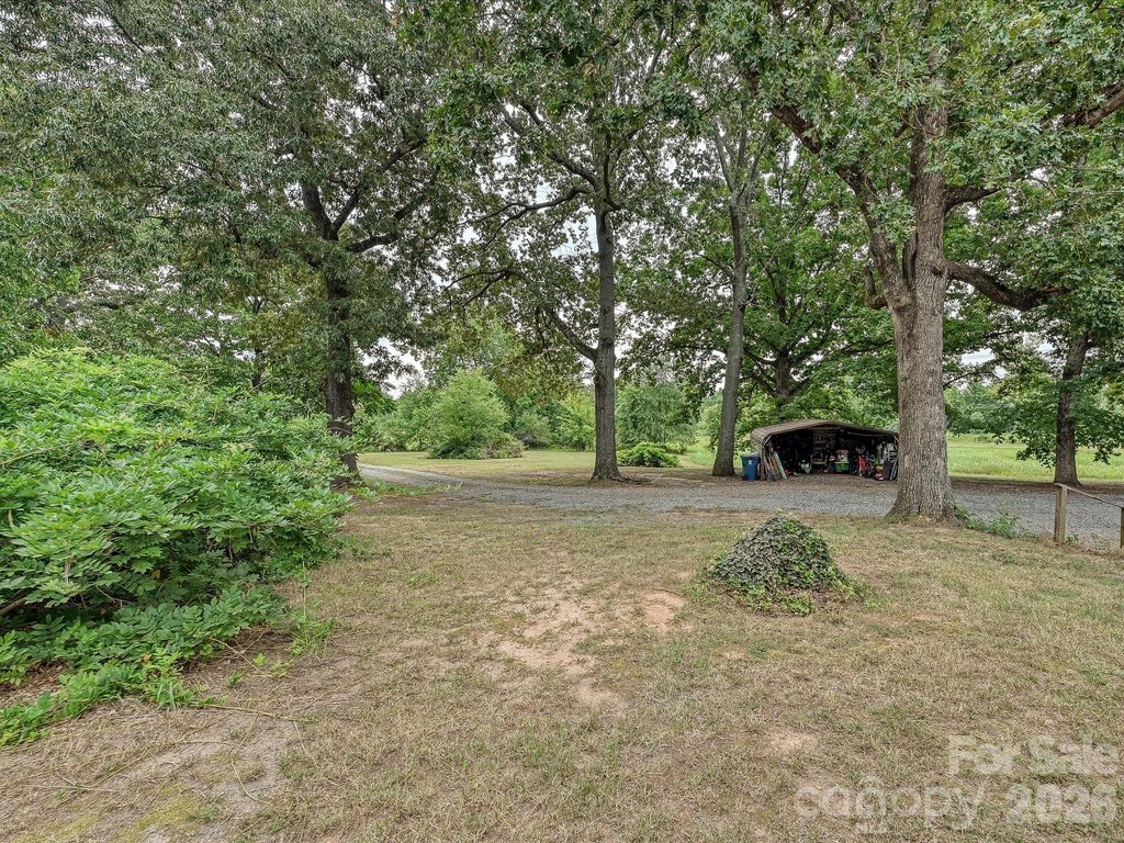 Picture 21