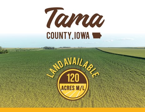 Productive Farmland in Tama County