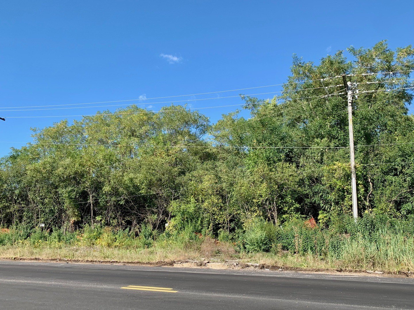 Roselle Land on Irving Park