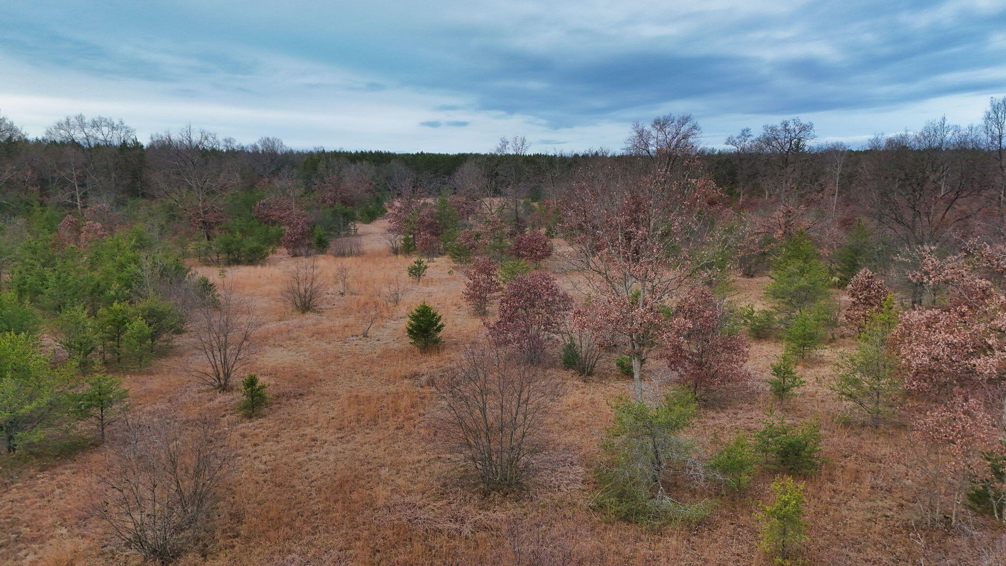 Manistee Recreational Land For Sale