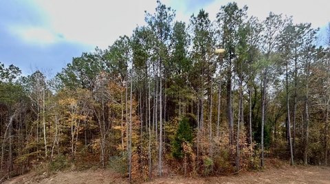 Guntown, MS Land For Sale