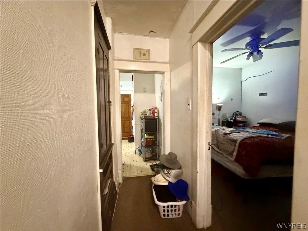 Picture 17