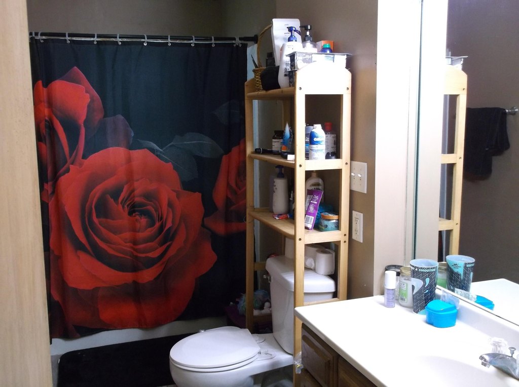 Picture 13