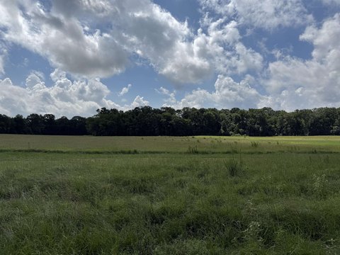 3 Acres of Land in Henderson