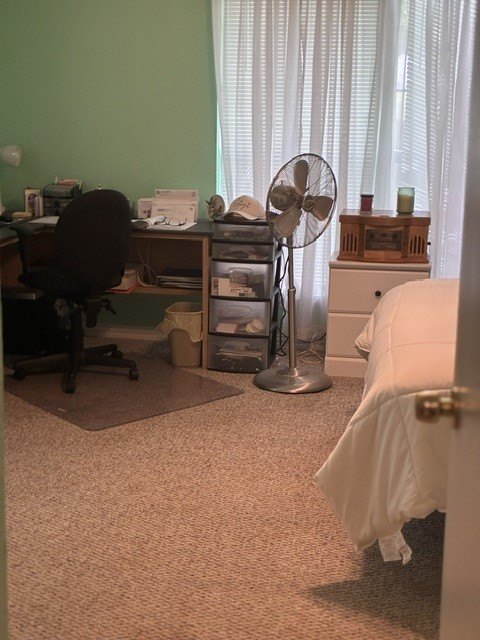 Picture 15