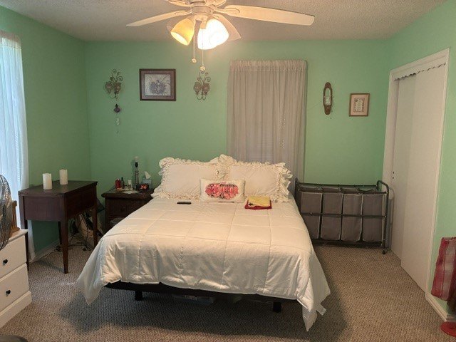 Picture 17