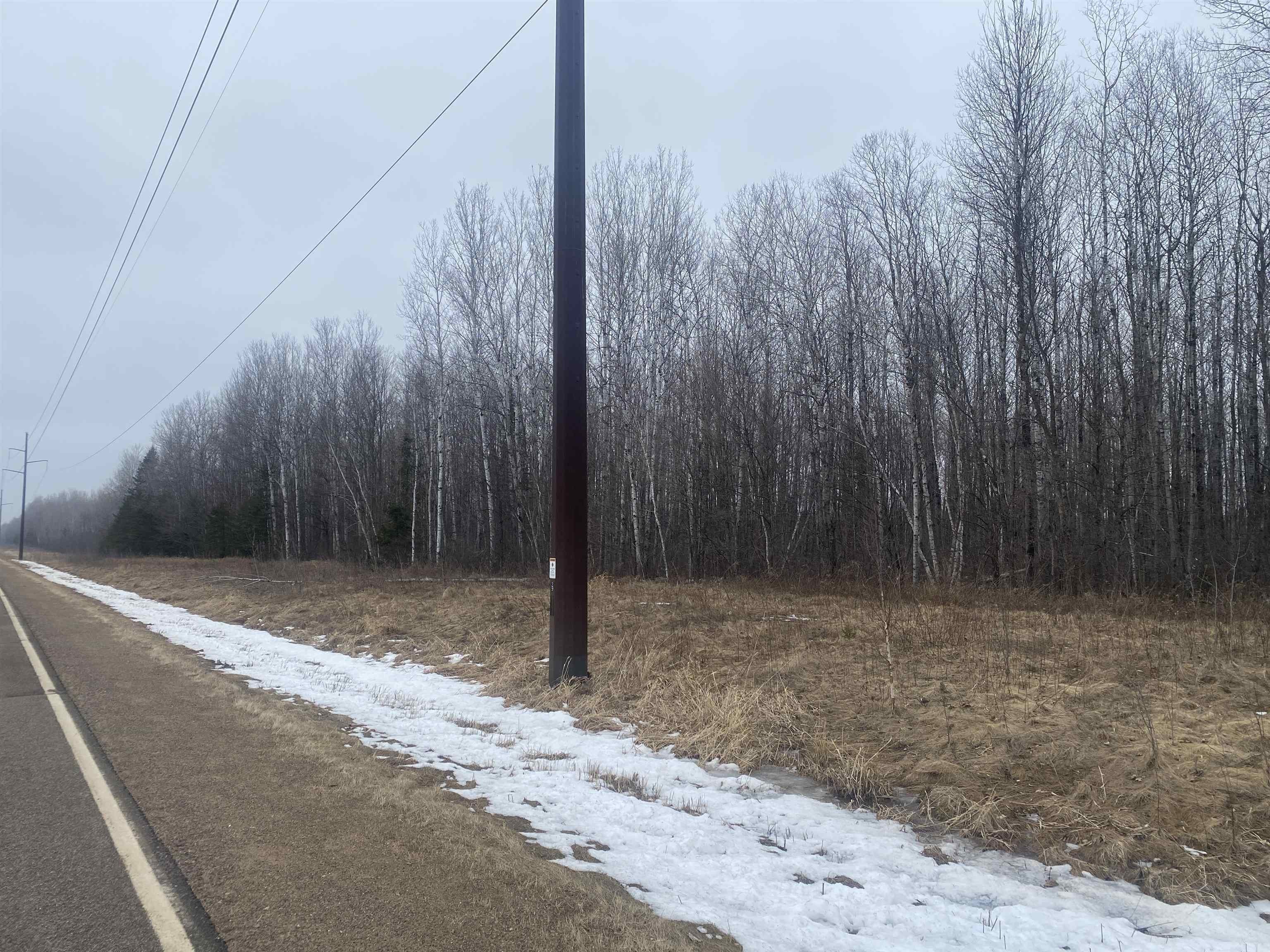 80 Acres of Forestland