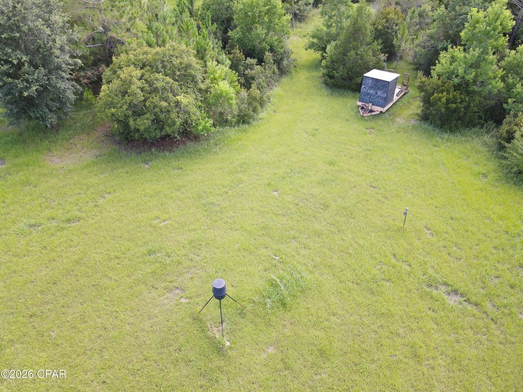 Picture 14