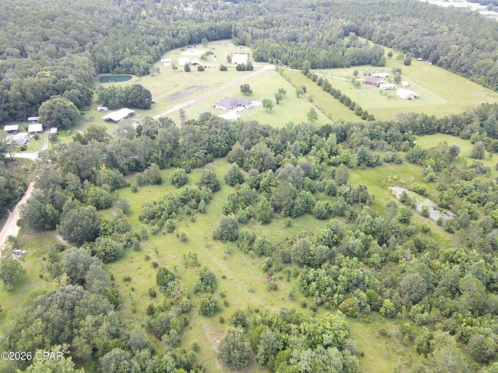 Picture 19
