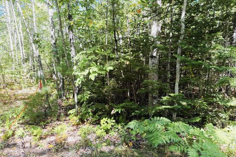 Land, Newcastle, ME