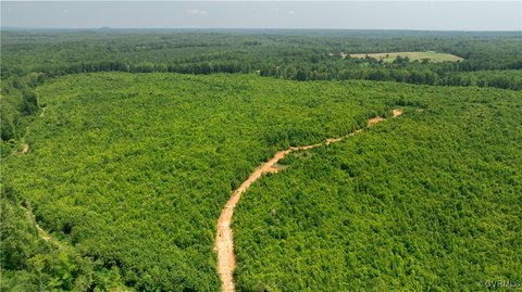 Sprawling 143-Acre Meherrin Land Tract