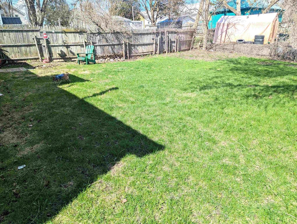 Picture 5