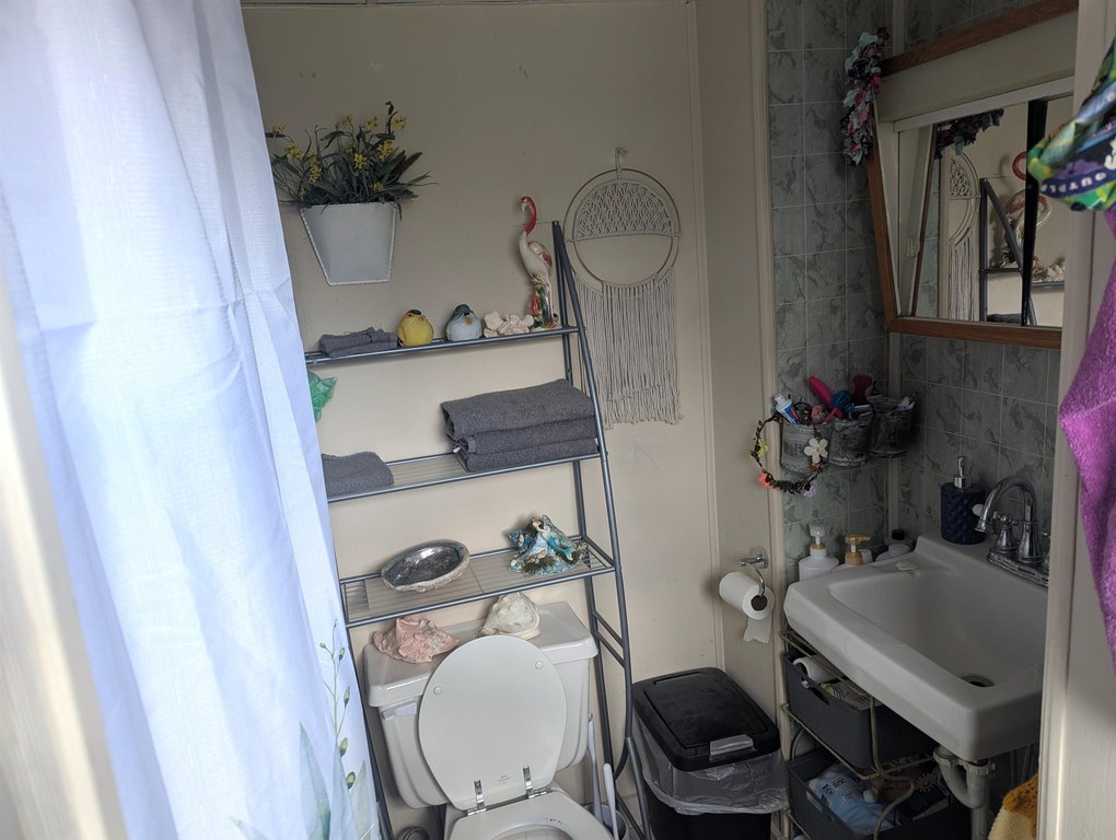 Picture 24