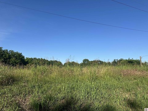 Residential - Hickman, KY