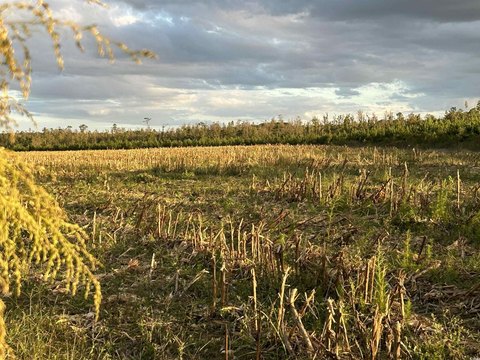 Hunting and Agricultural Land