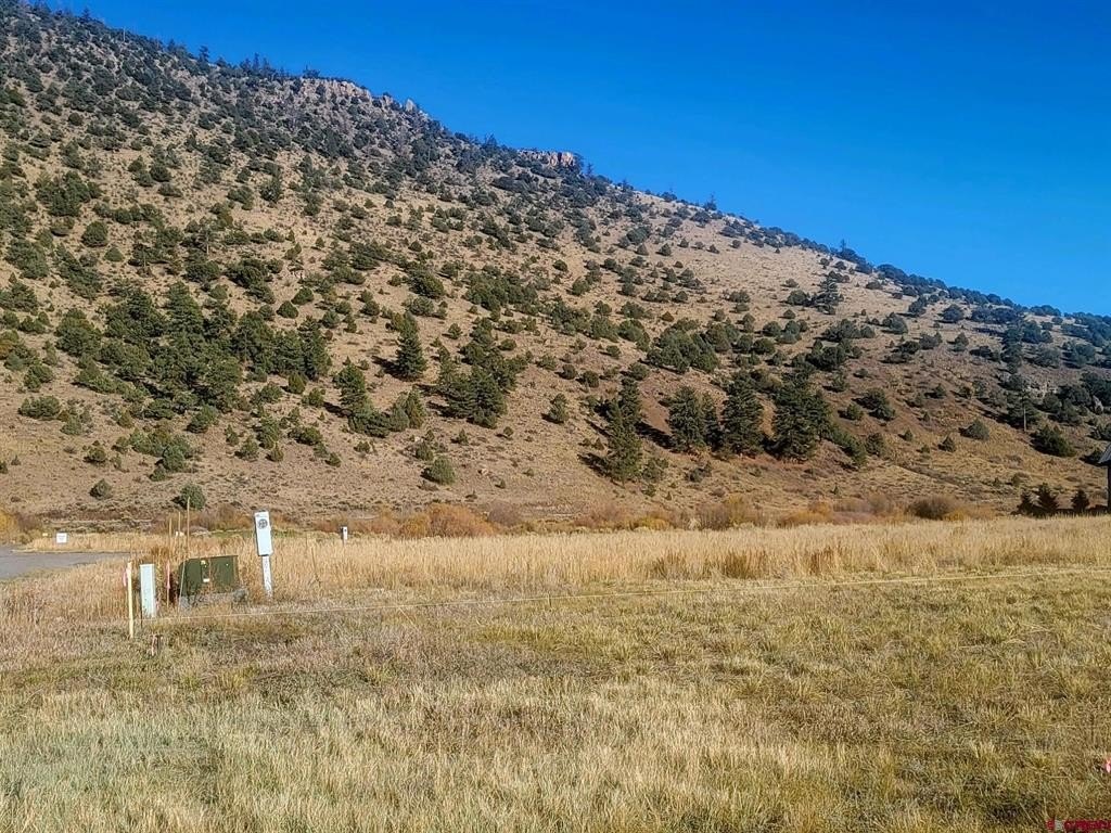 Picture 6