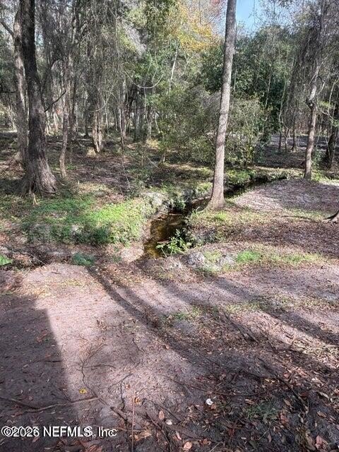 Picture 13