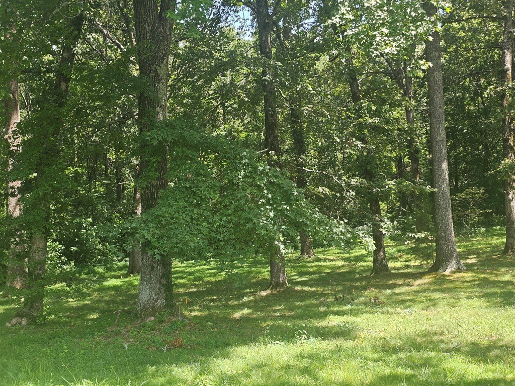 Picture 8